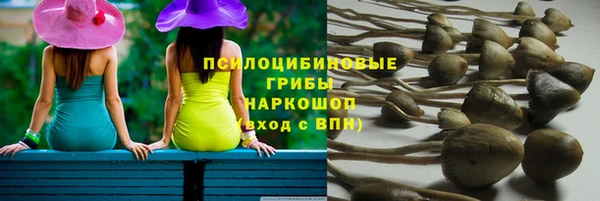 ПСИЛОЦИБИНОВЫЕ ГРИБЫ Алзамай