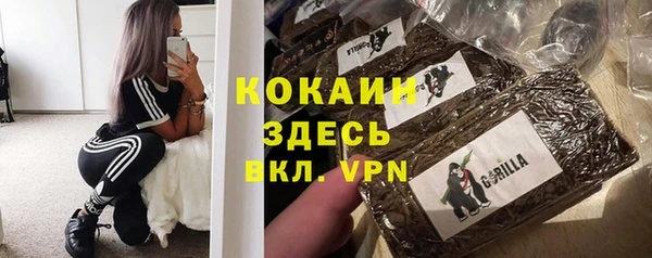 spice Алексин