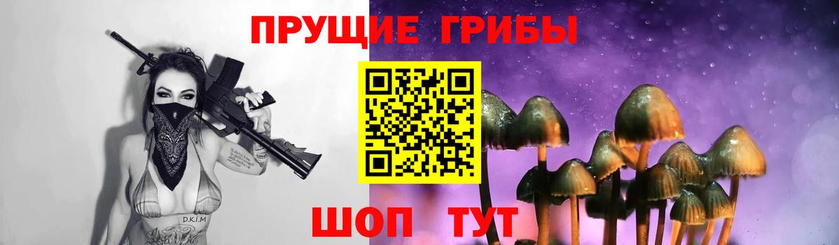 Беслан  Галлюциногенные грибы Psilocybe  Вход с VPN  Галлюциногенные грибы Magic Shrooms 
